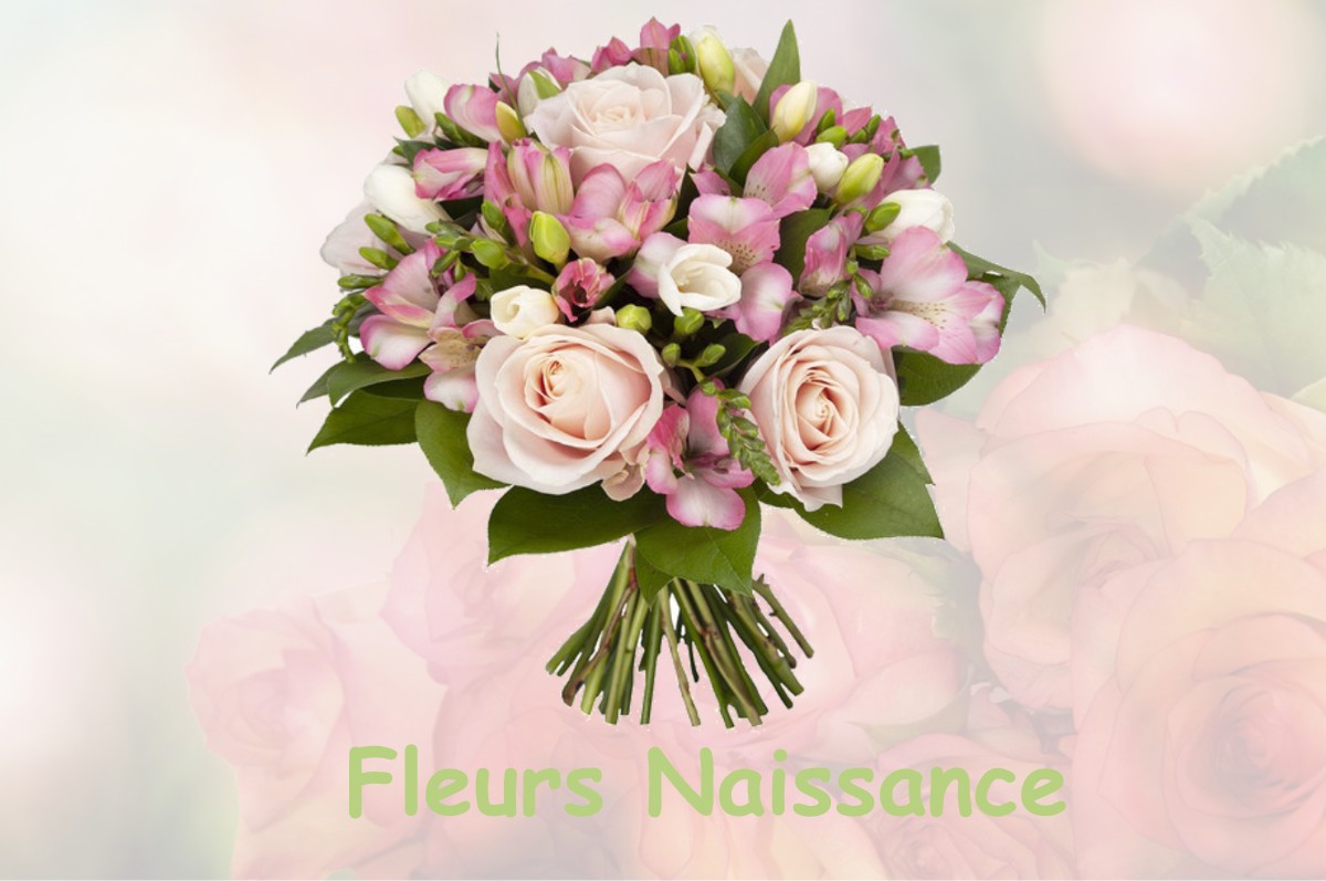 fleurs naissance BESSE-SUR-BRAYE