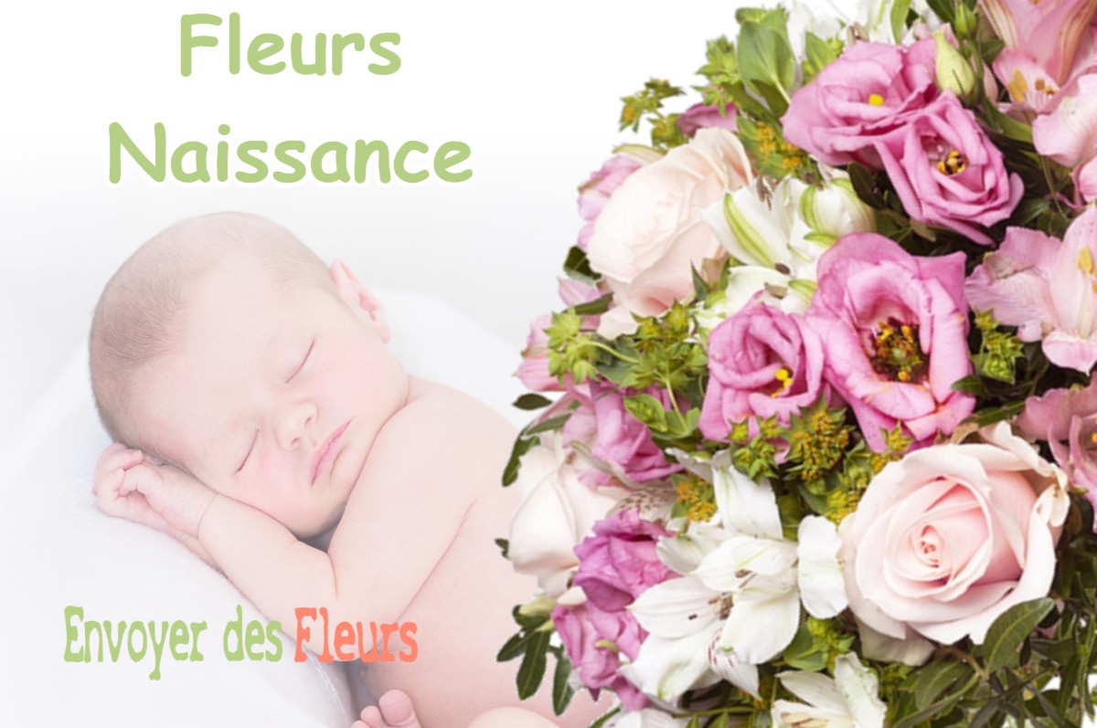 lIVRAISON FLEURS NAISSANCE à BESSE-SUR-BRAYE