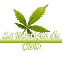 LA BOUTIQUE DU CBD BESSE-SUR-BRAYE 